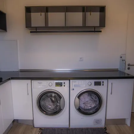 Rosa Порту-Мониш