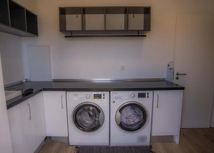 Rosa פורטו מוניז